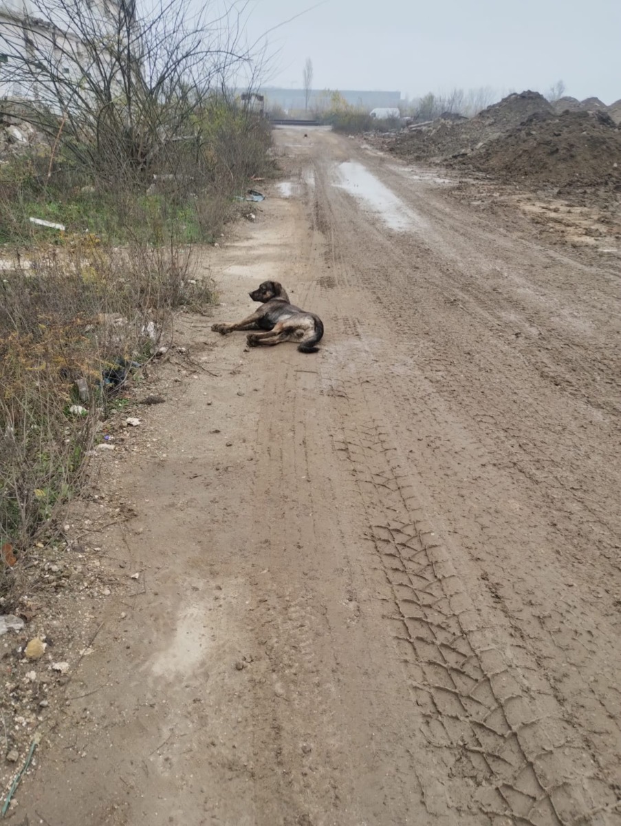 595770070_1198905729061229_1070180965058584158_n