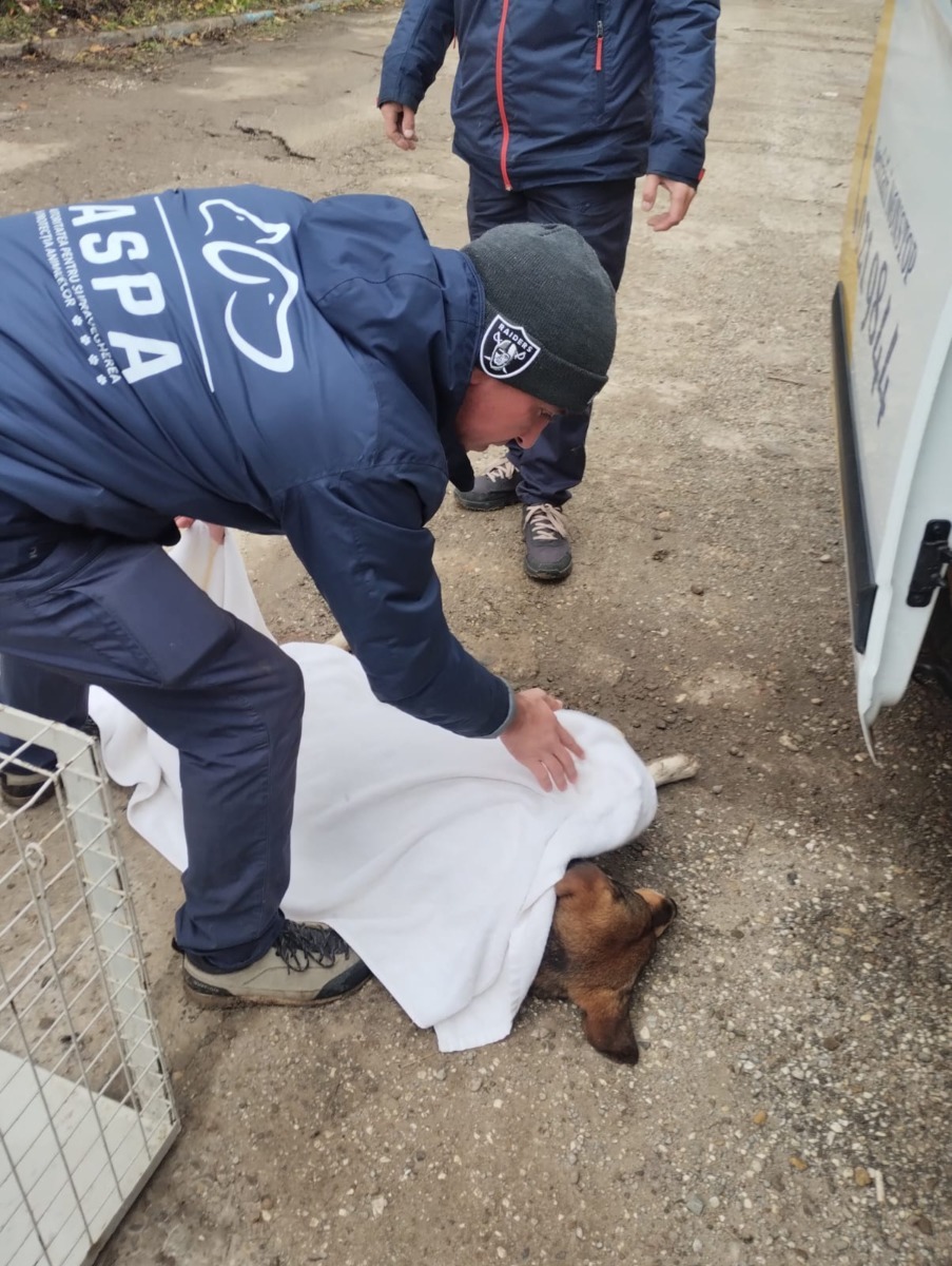 595902610_1198905665727902_1927719976809881188_n