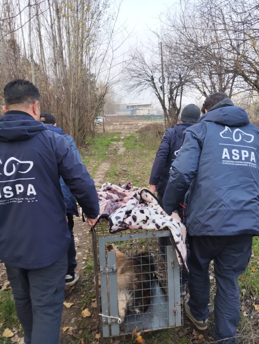 596402075_1198905752394560_5770710616607009839_n