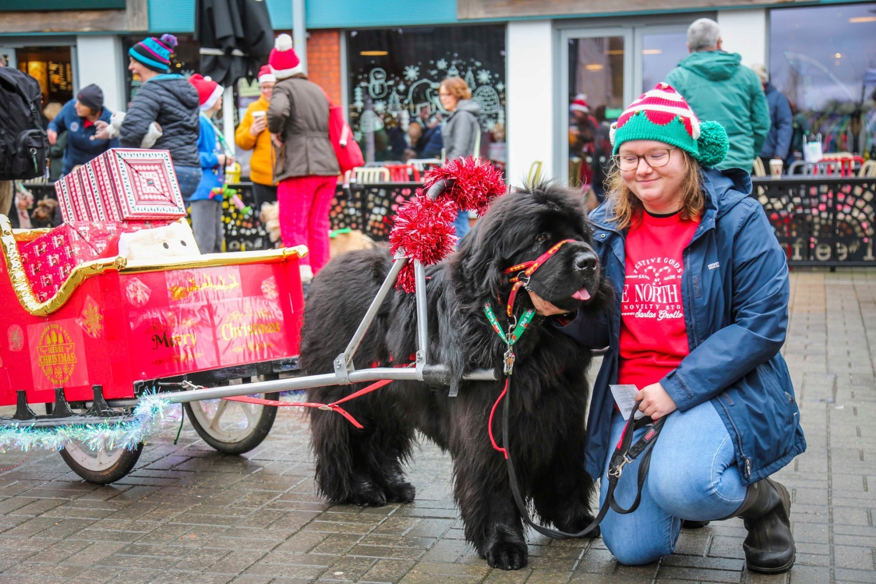 596413203_1156624739997258_2800944105076621618_n