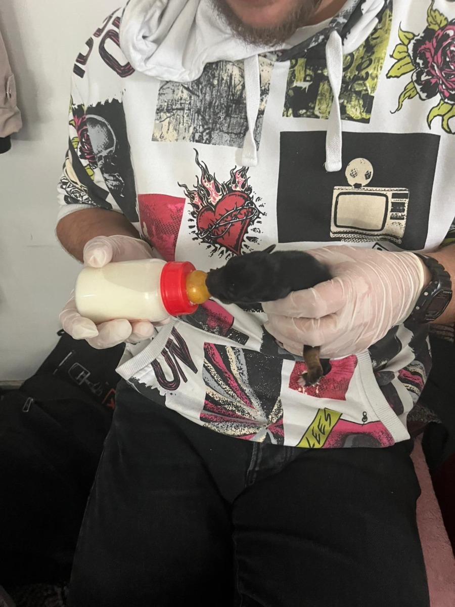 596586668_1198905735727895_57976911908467288_n