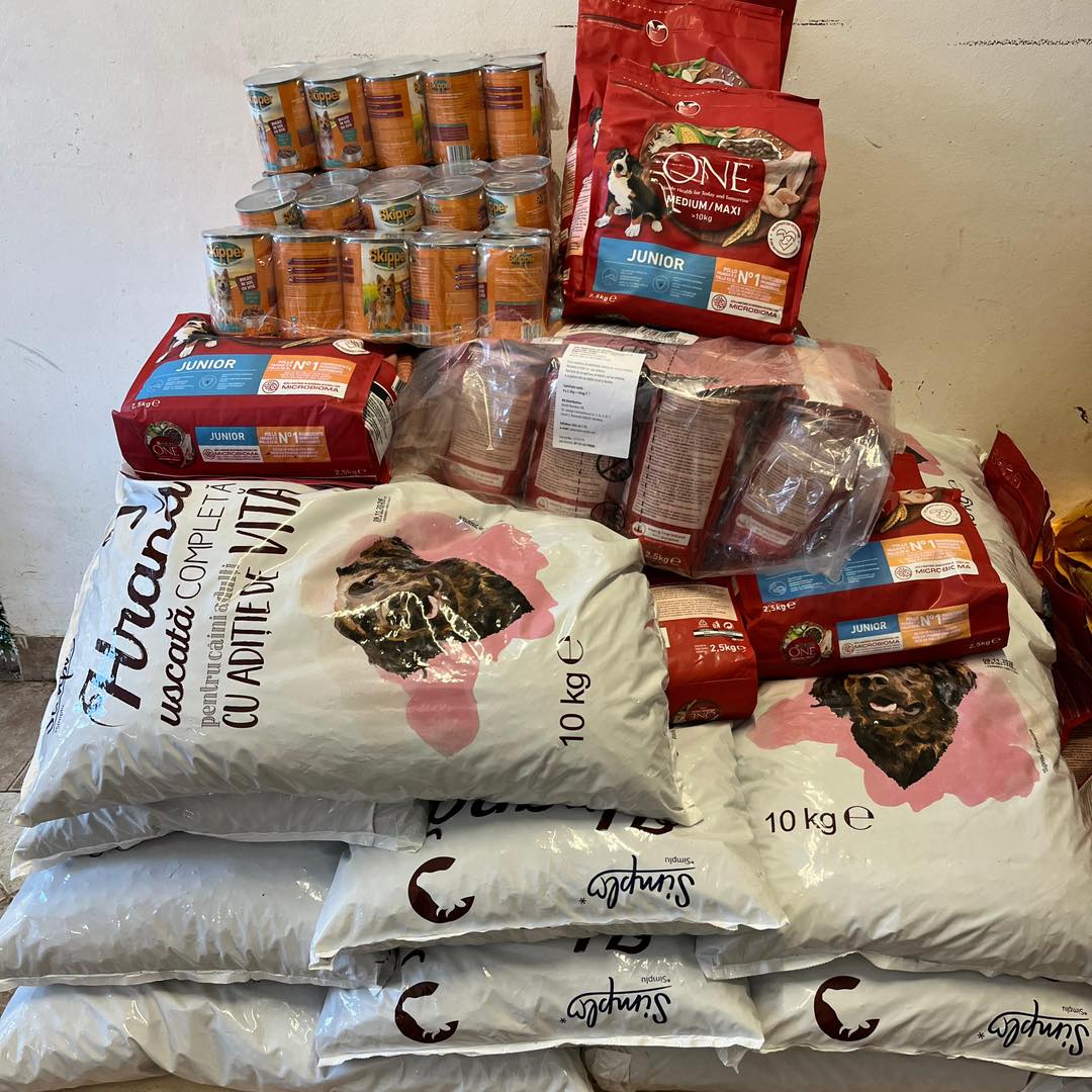 596634945_1199808885637580_182150196213322679_n