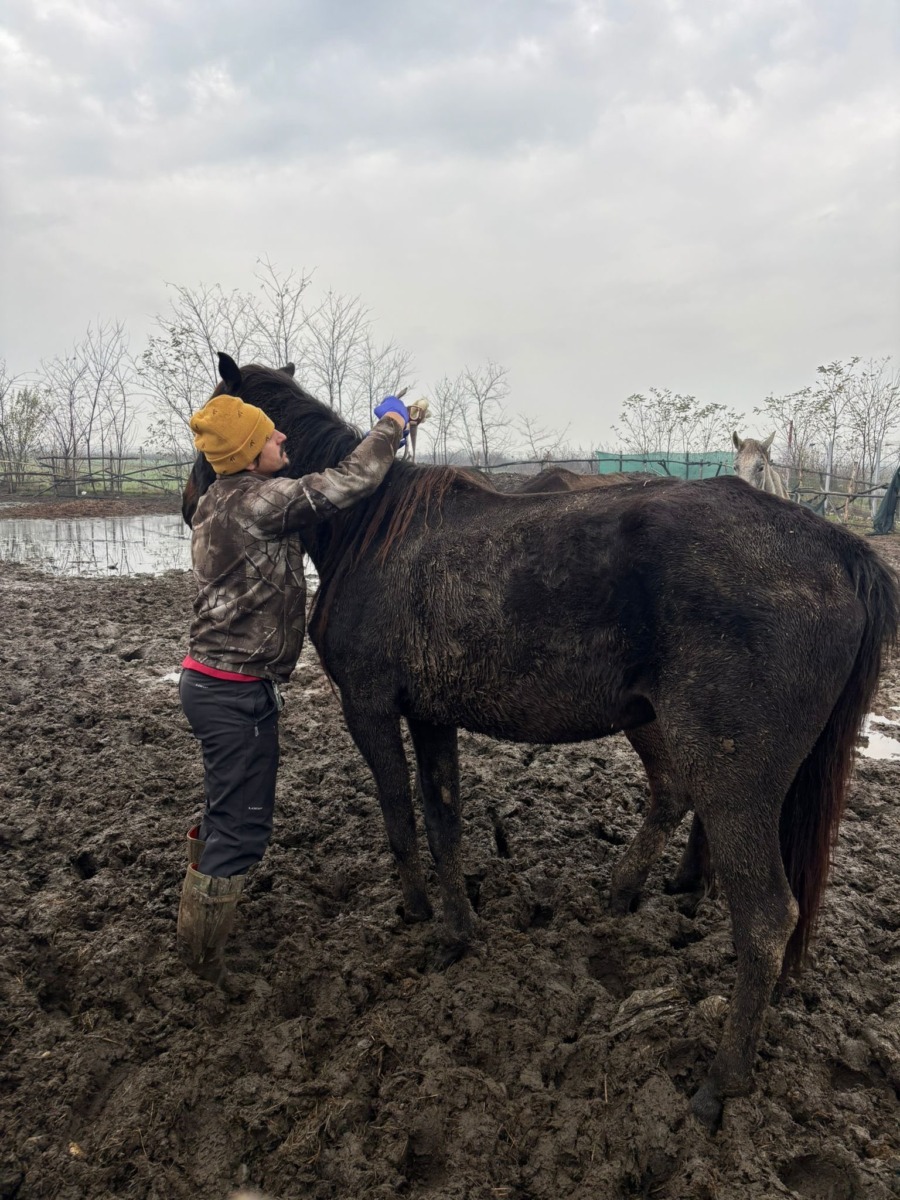 596726841_872686835127943_5686775265557768641_n