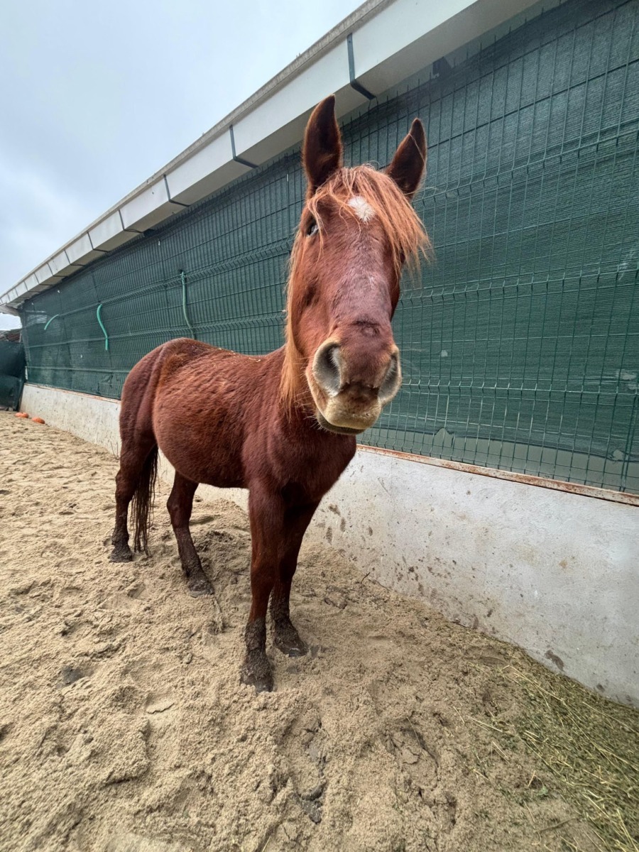 596797164_872686821794611_2999194626242797468_n