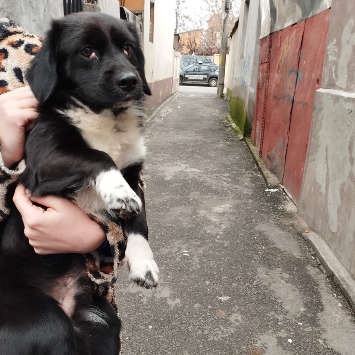 596807411_1200337882251347_859794729898317230_n