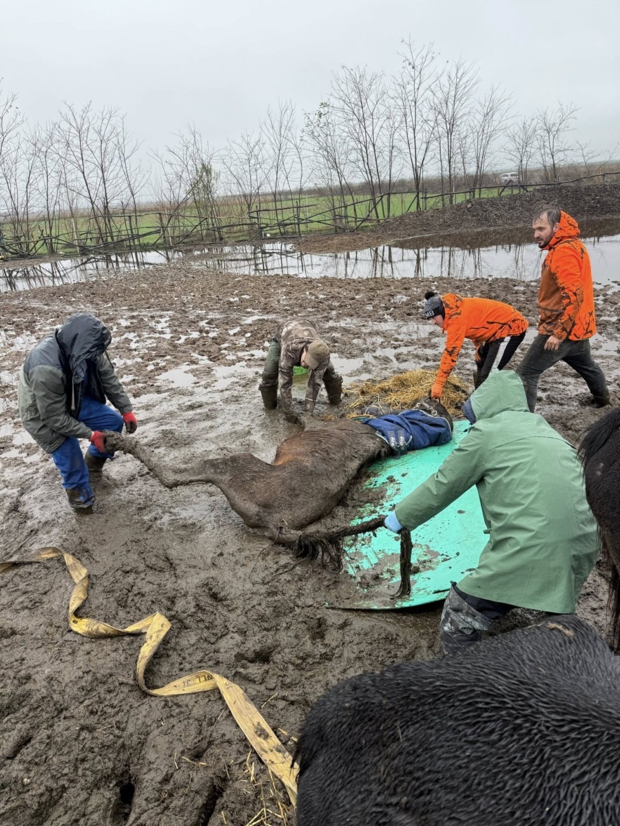 596809110_872686711794622_3879668536609203220_n