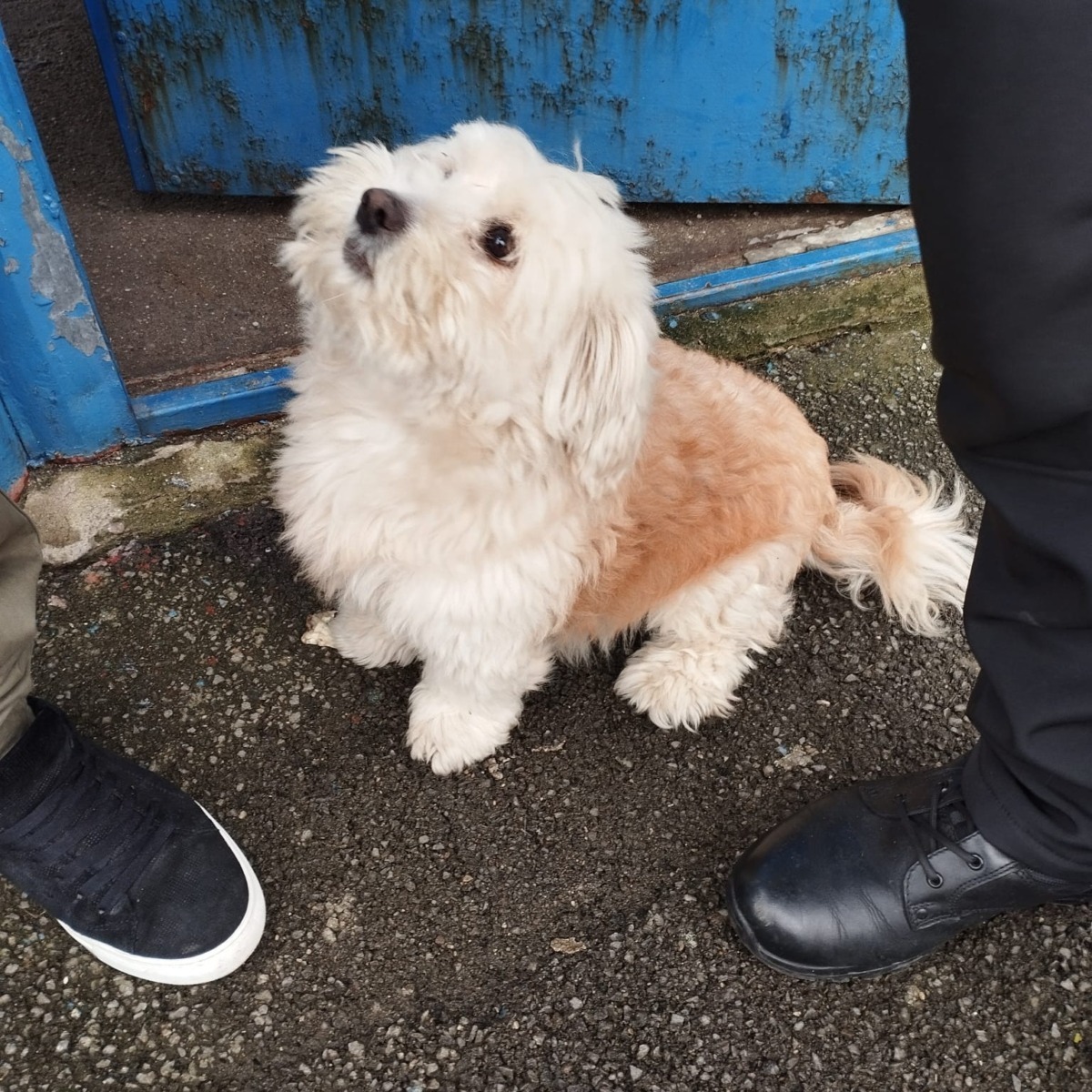 596862700_1200338042251331_3546748342655732444_n