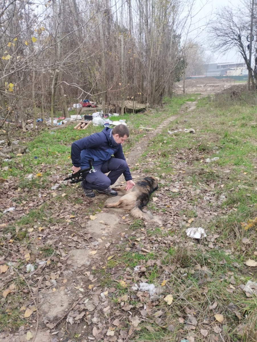 597310442_1198905769061225_7511107836975009284_n