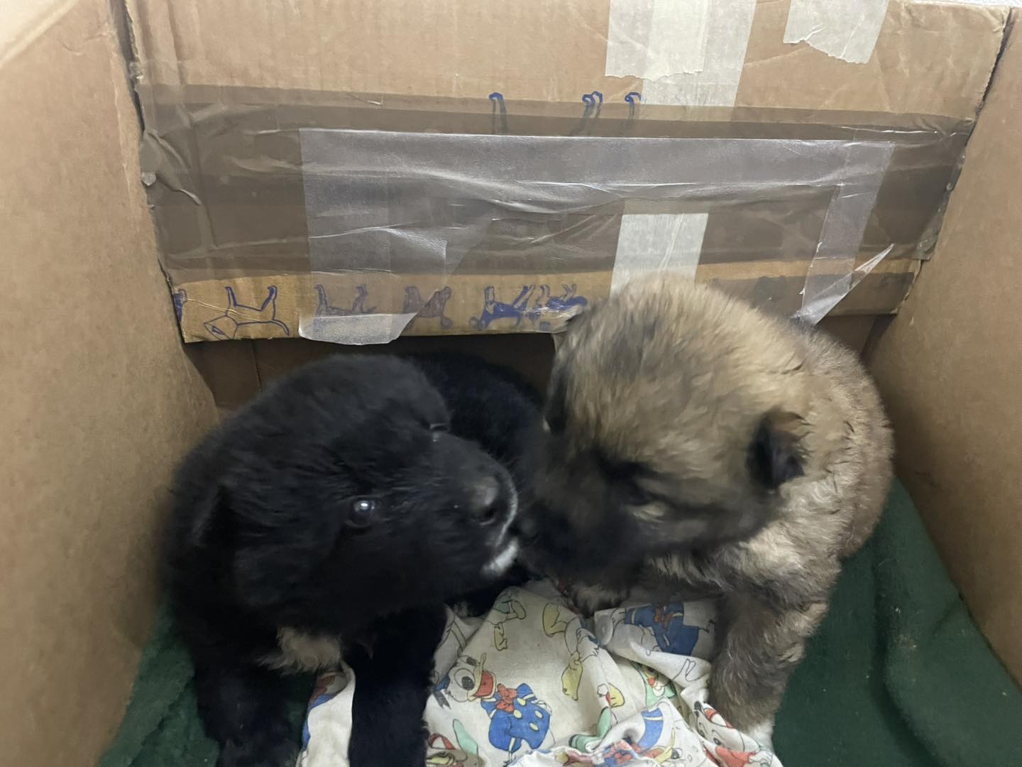 597391609_122187292160550808_5519885676204583151_n