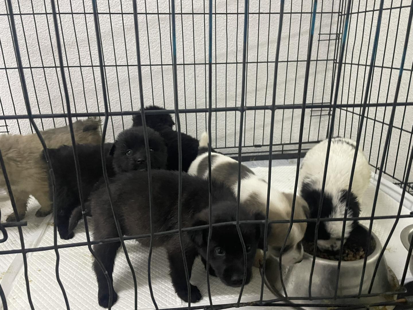 597413587_122187292412550808_4646324958790753882_n