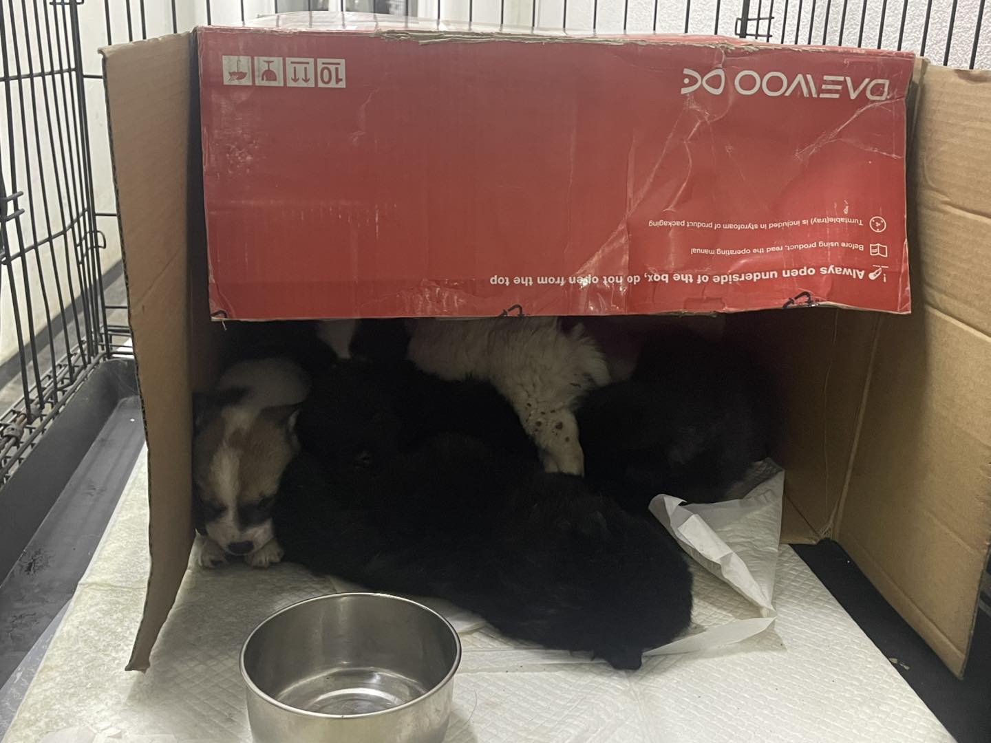 597484496_122187292184550808_2047341338813121666_n