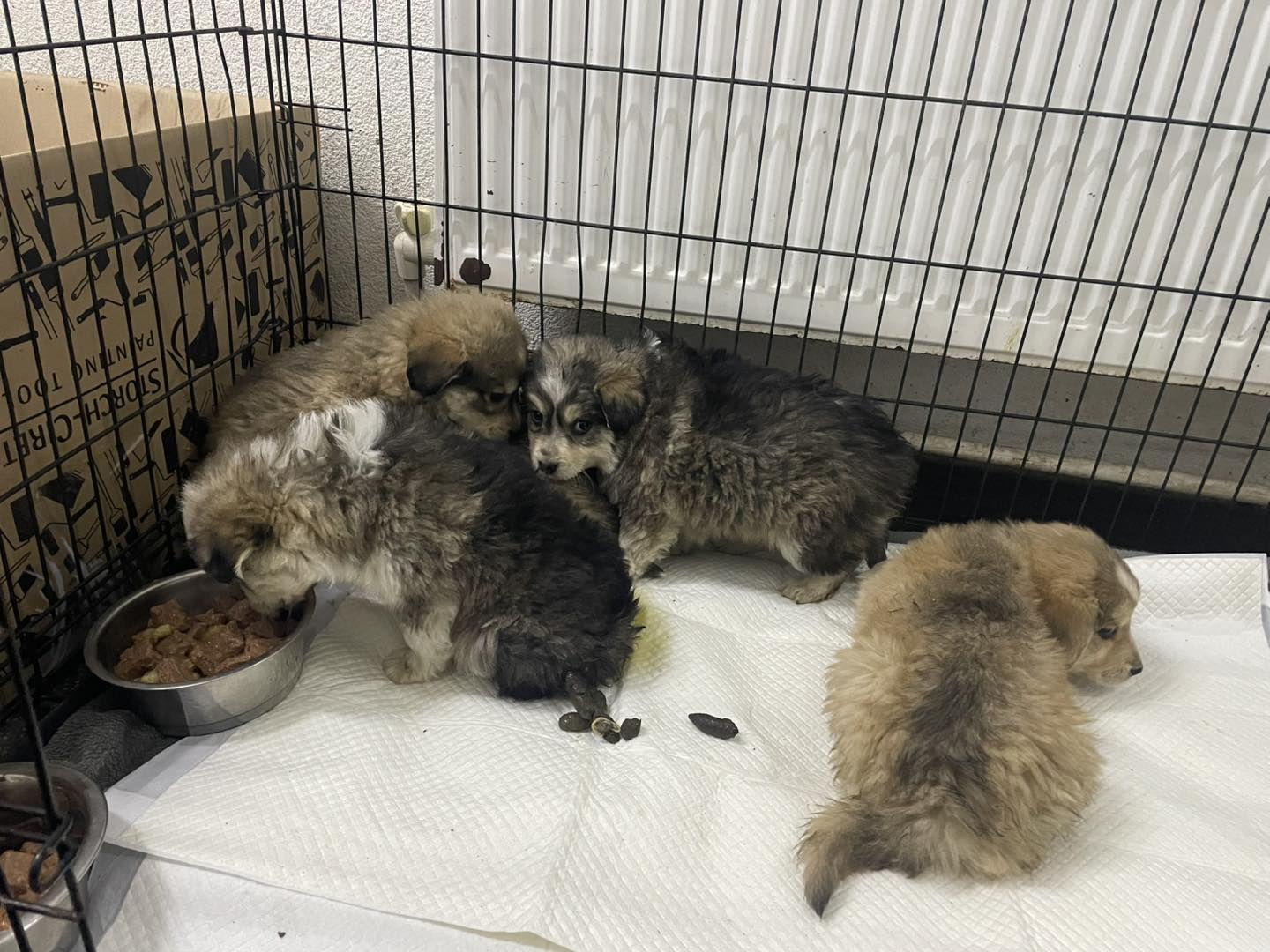 597550453_122187292292550808_5968522740249212282_n