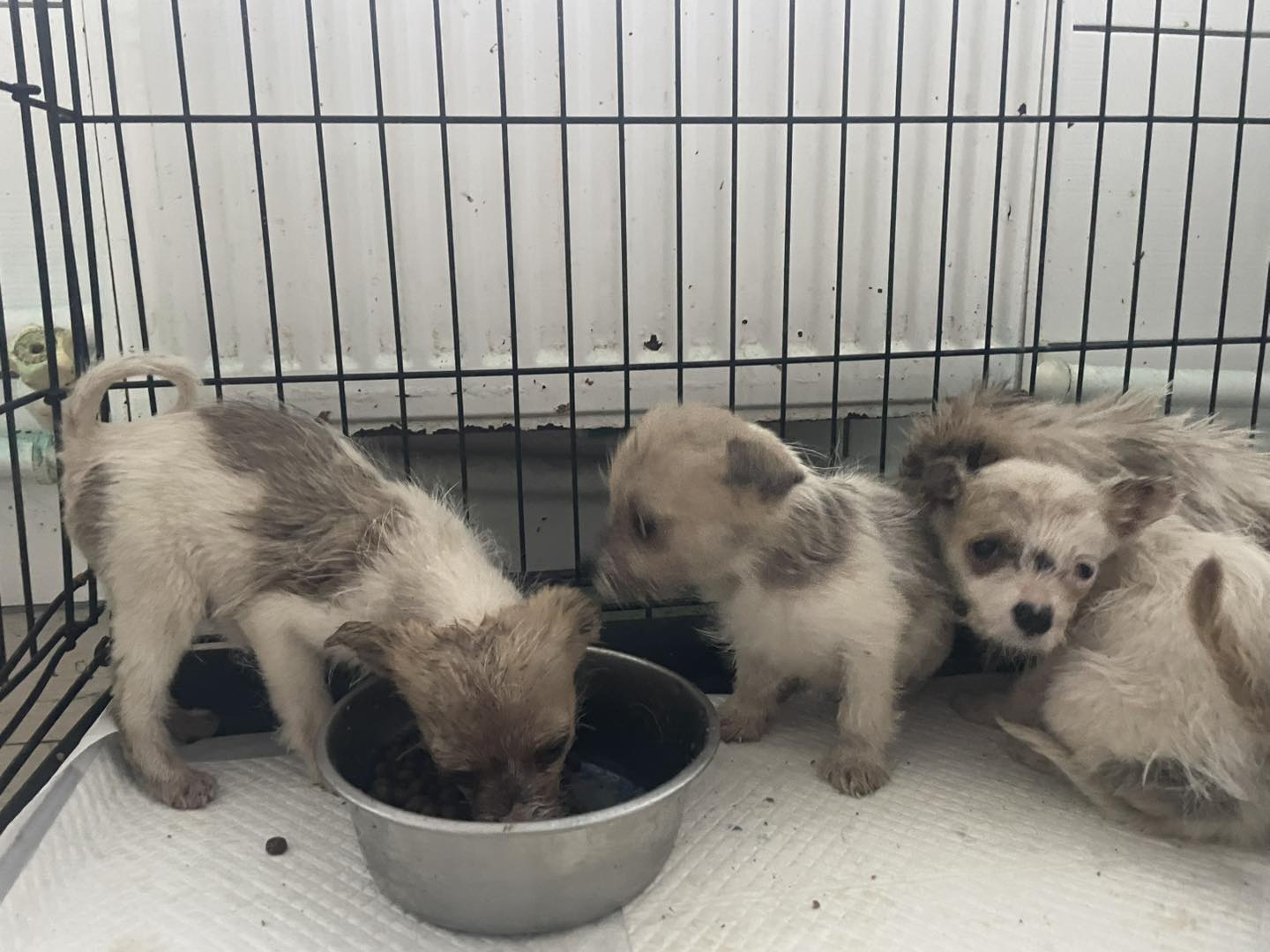 597564205_122187292256550808_6784685932139678397_n