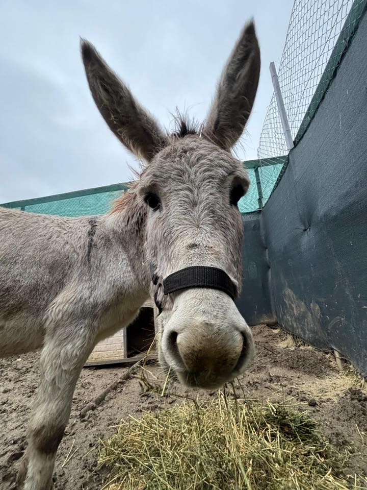 597608927_872681475128479_2936342713028493686_n