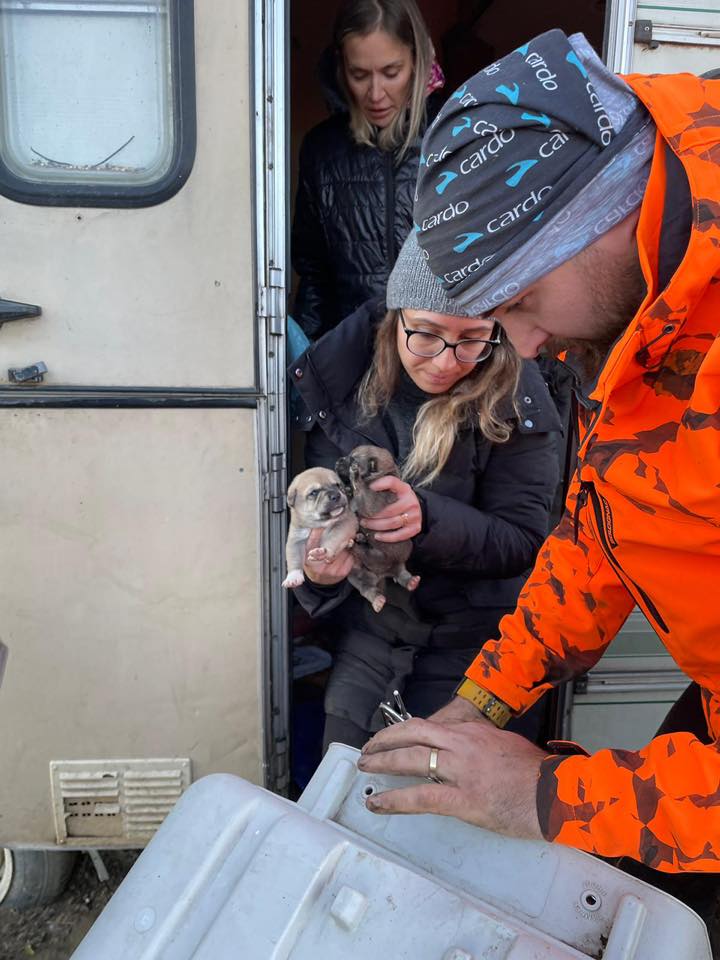 597644514_872681731795120_4622547179698674015_n