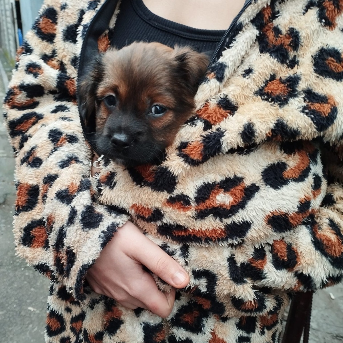 597863072_1200338158917986_8332473103108999624_n