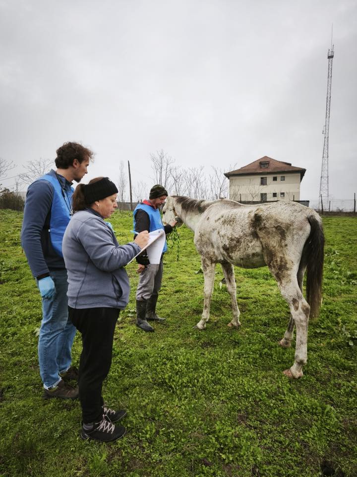 597876352_872681511795142_4511971907051830115_n