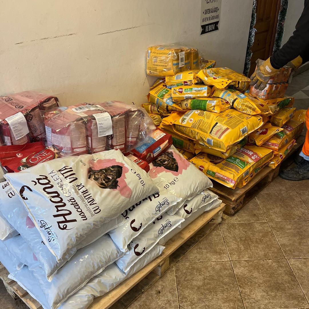 598059593_1199808892304246_6125488400051249171_n