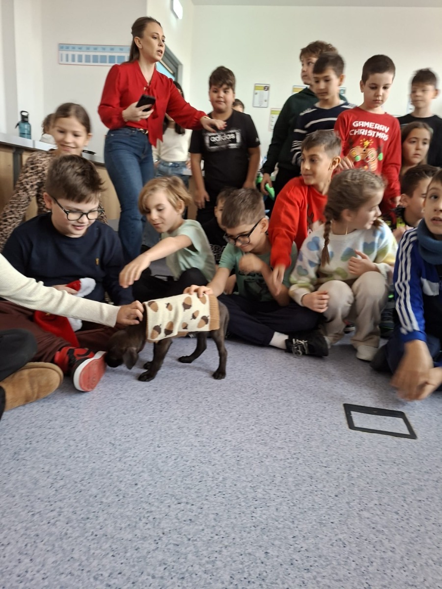 598117064_1205301081755027_8879932826294590754_n