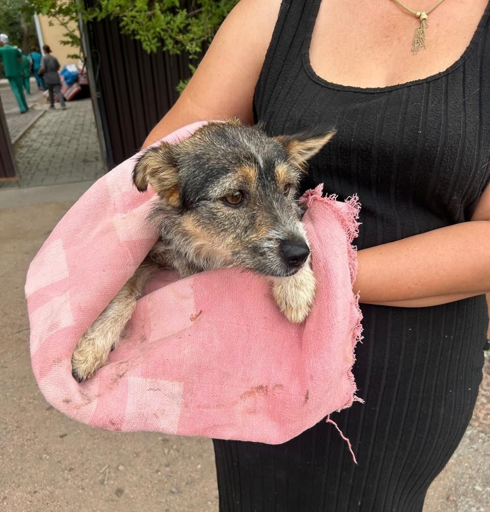 598547448_1290991686392083_3380813731382325180_n