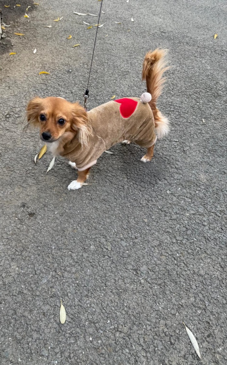 598805570_1206042668347535_6602741755462103828_n