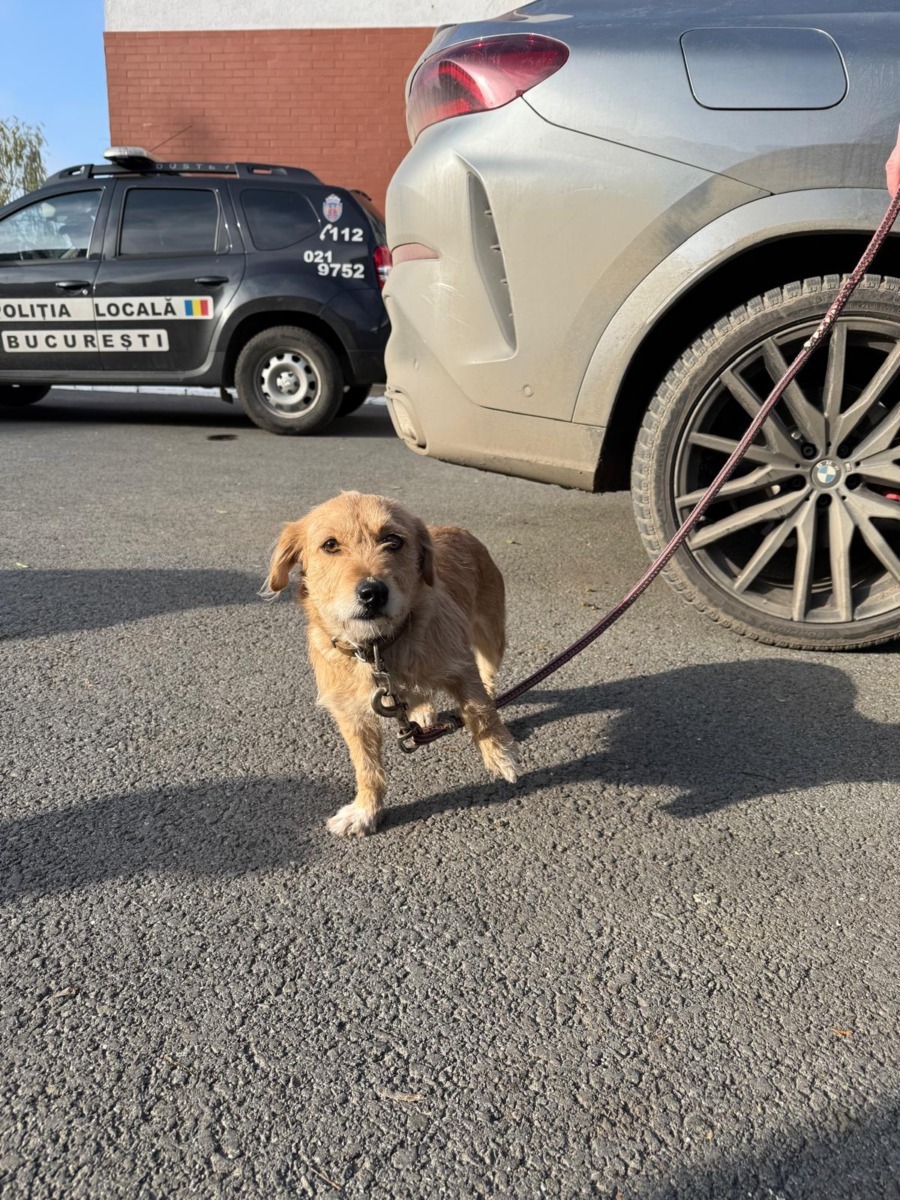 598883375_1206042745014194_8600194072245996661_n