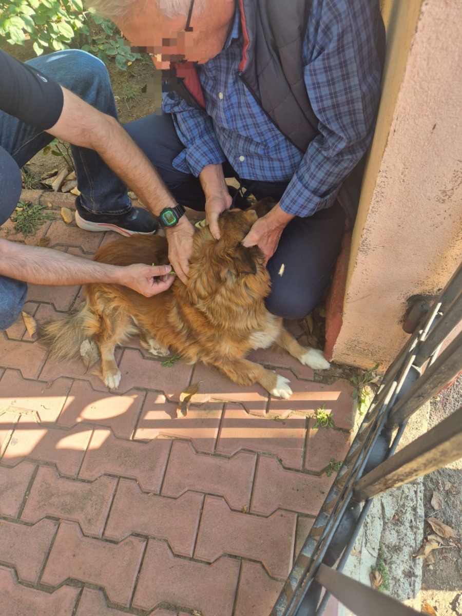 599945603_1206042281680907_1700963594960426777_n