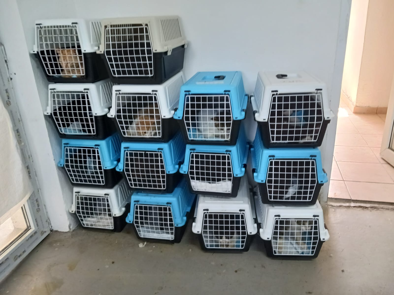 599950807_1206042031680932_1195817869422335407_n