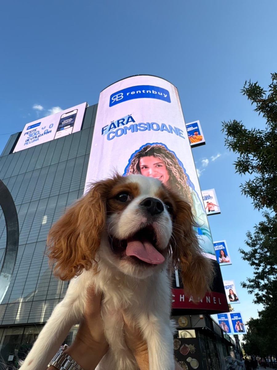 5ffcd443-1eac-41a5-abab-9d68e7eb257f