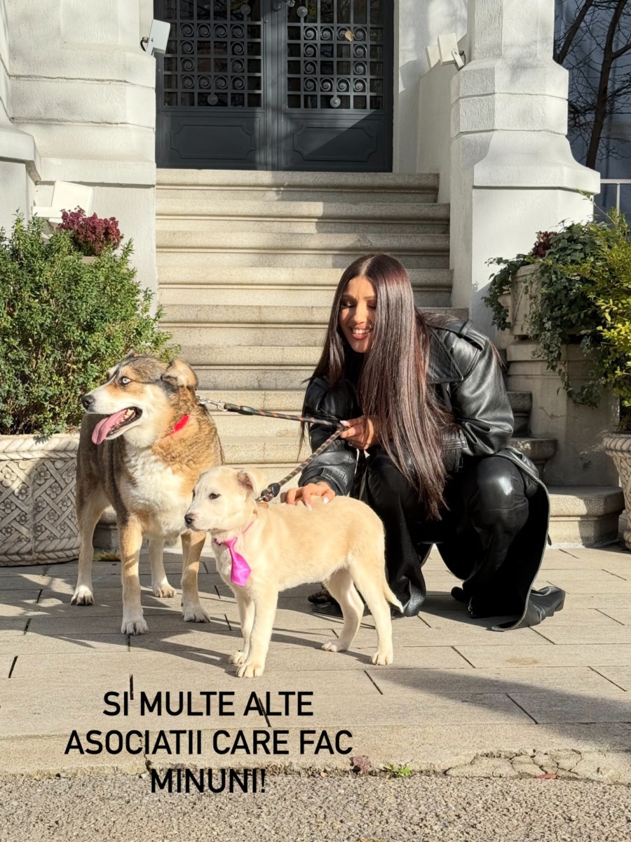 600391051_18548194285029744_7679855103151077204_n