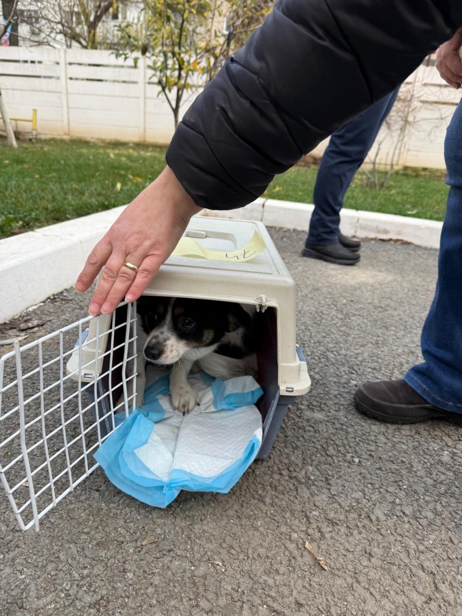 600397232_1206042271680908_8792577047064068012_n