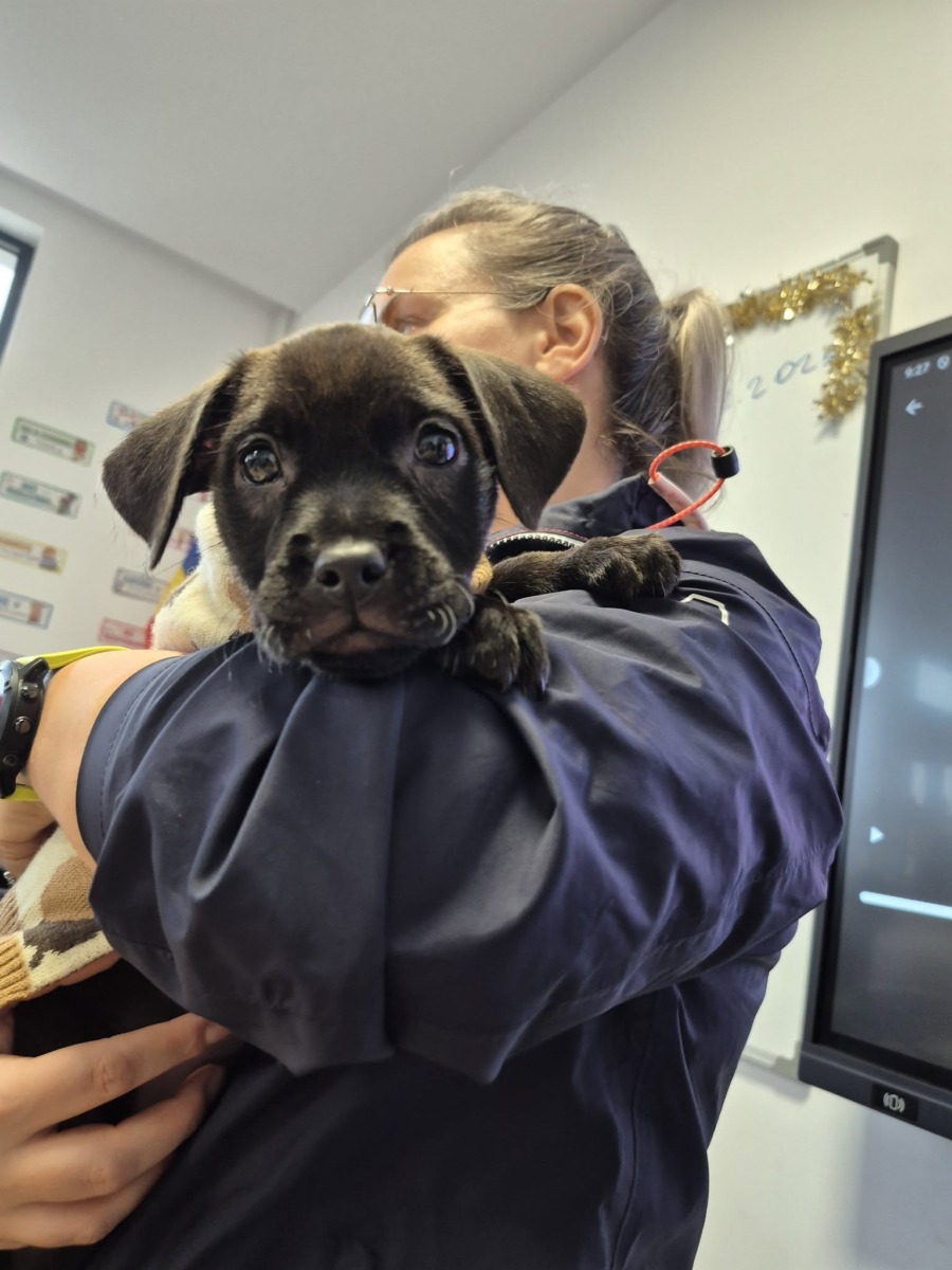 600887923_1205300028421799_659896705766592417_n