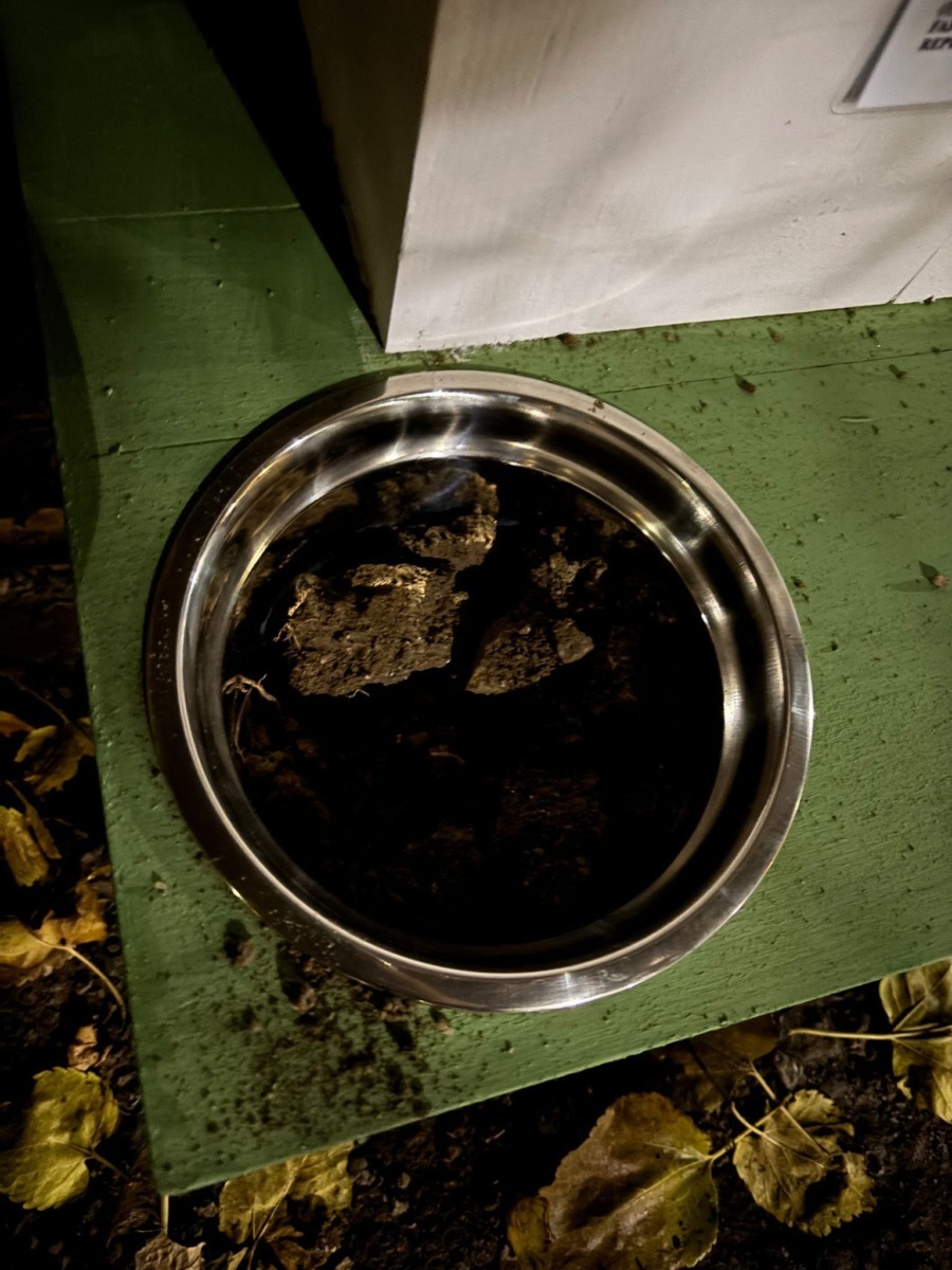 601890540_122172041030760245_2118450734545217794_n