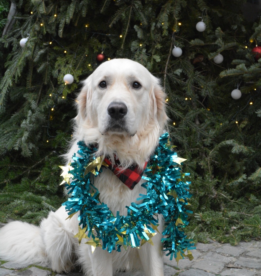 603900248_18434766511106316_1471757012872053662_n