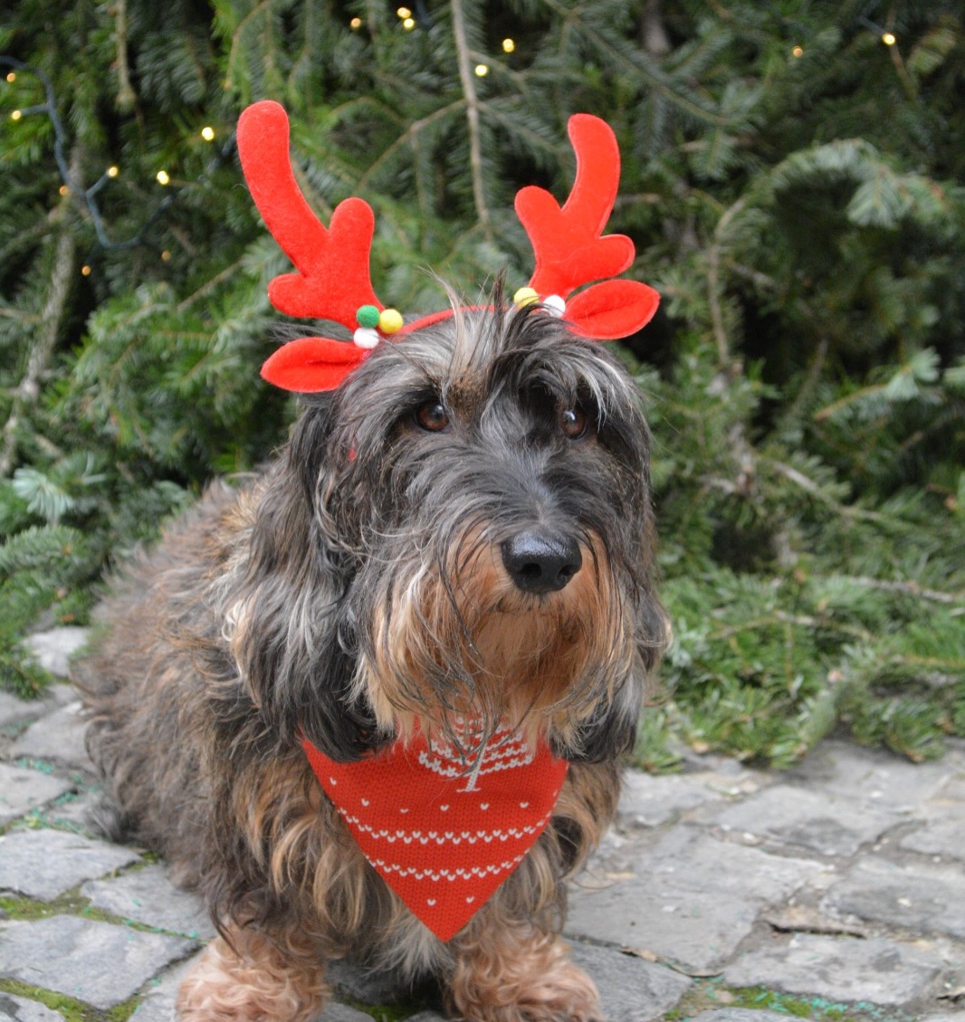 603940674_18434766538106316_1258337532379597_n