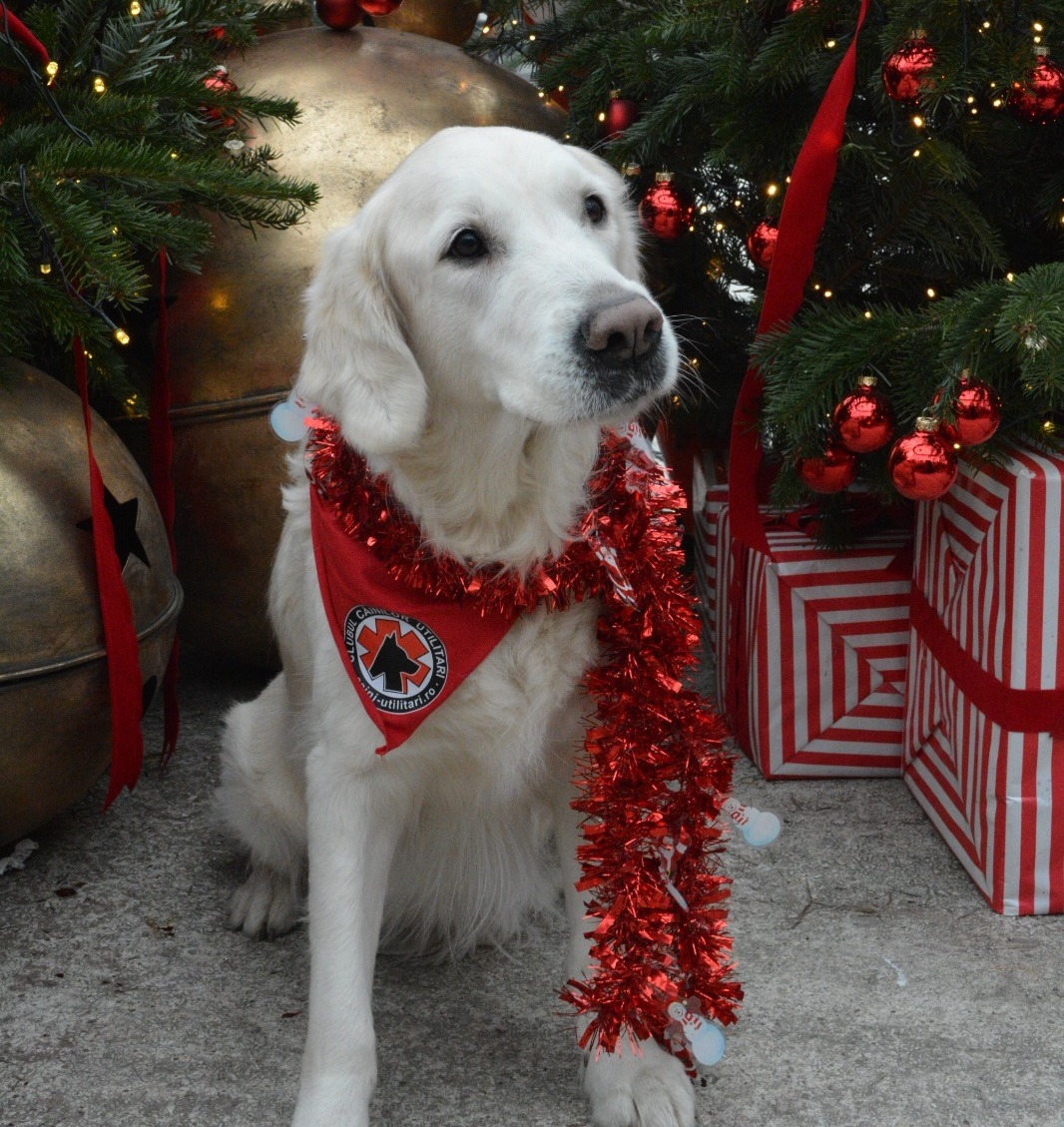 604113710_18434766553106316_4911852862077066476_n