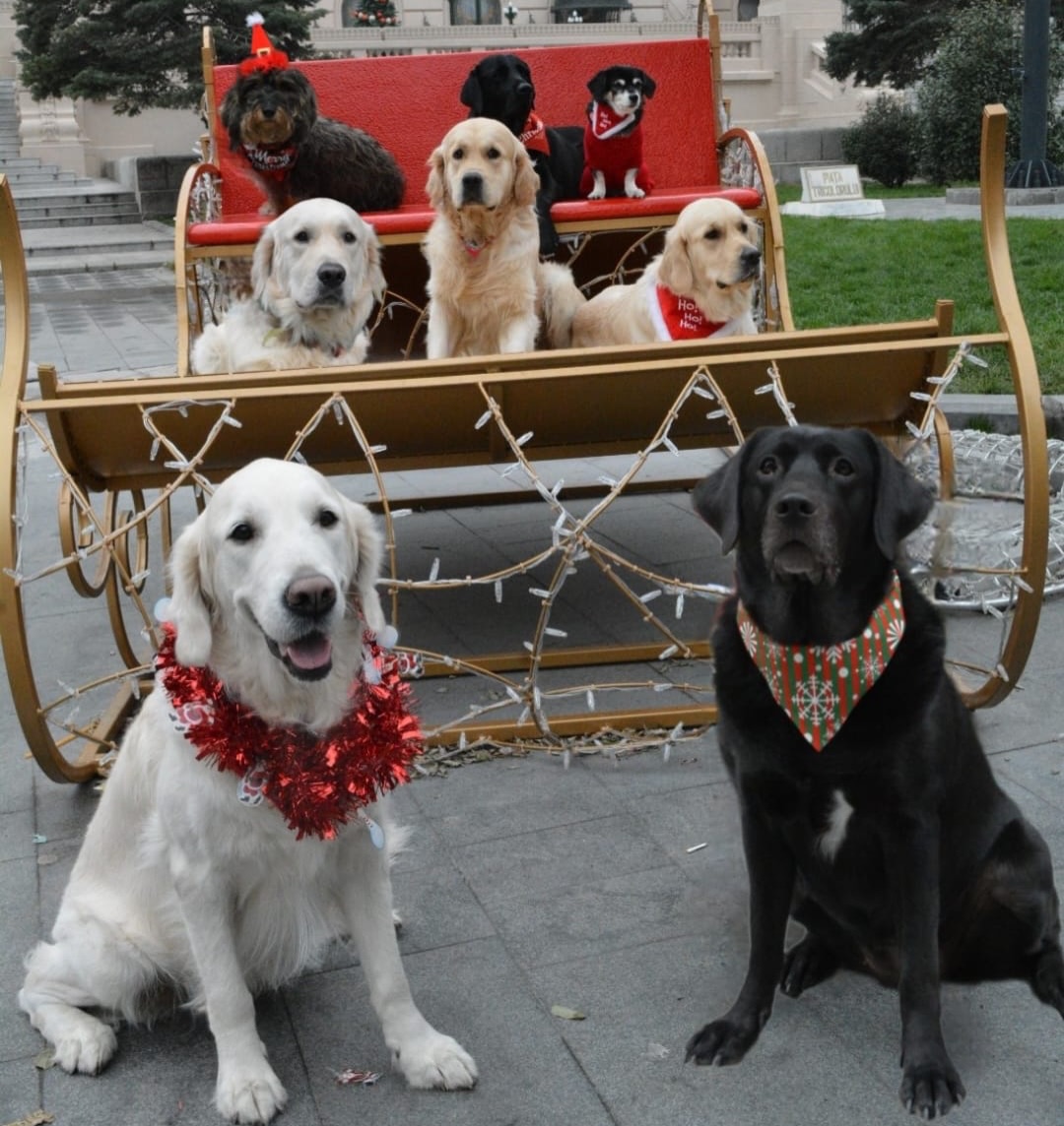 604163487_18434766484106316_5077591073327604358_n