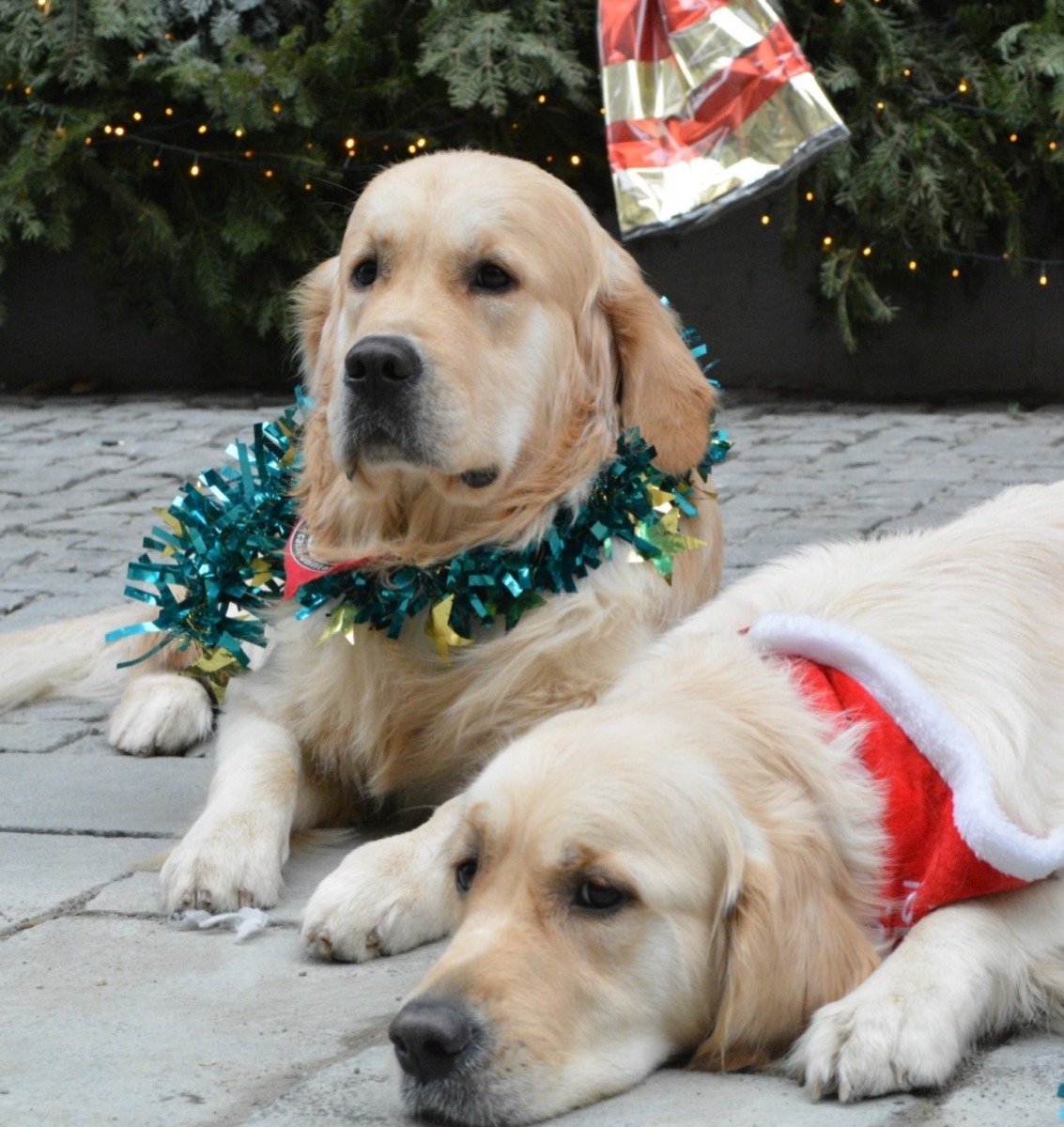 604213639_18434766565106316_8694530066143978318_n