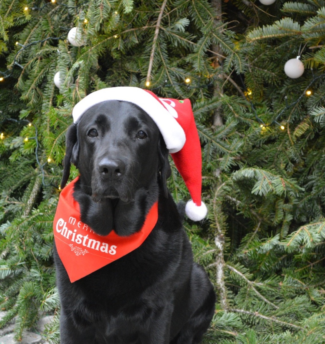 604217678_18434766529106316_8660236164264565320_n