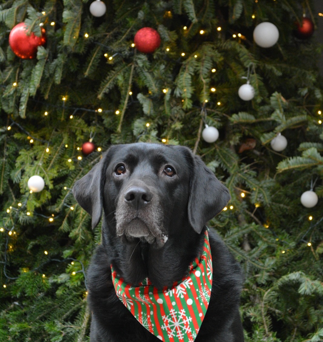 604442678_18434766502106316_3504223488830299804_n