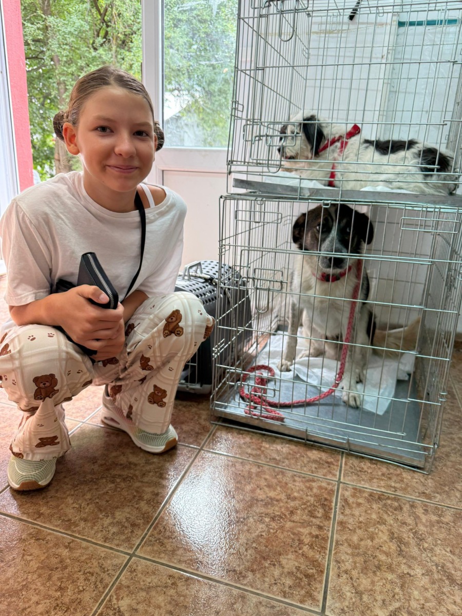 604769858_888449336885026_3715948072838650374_n