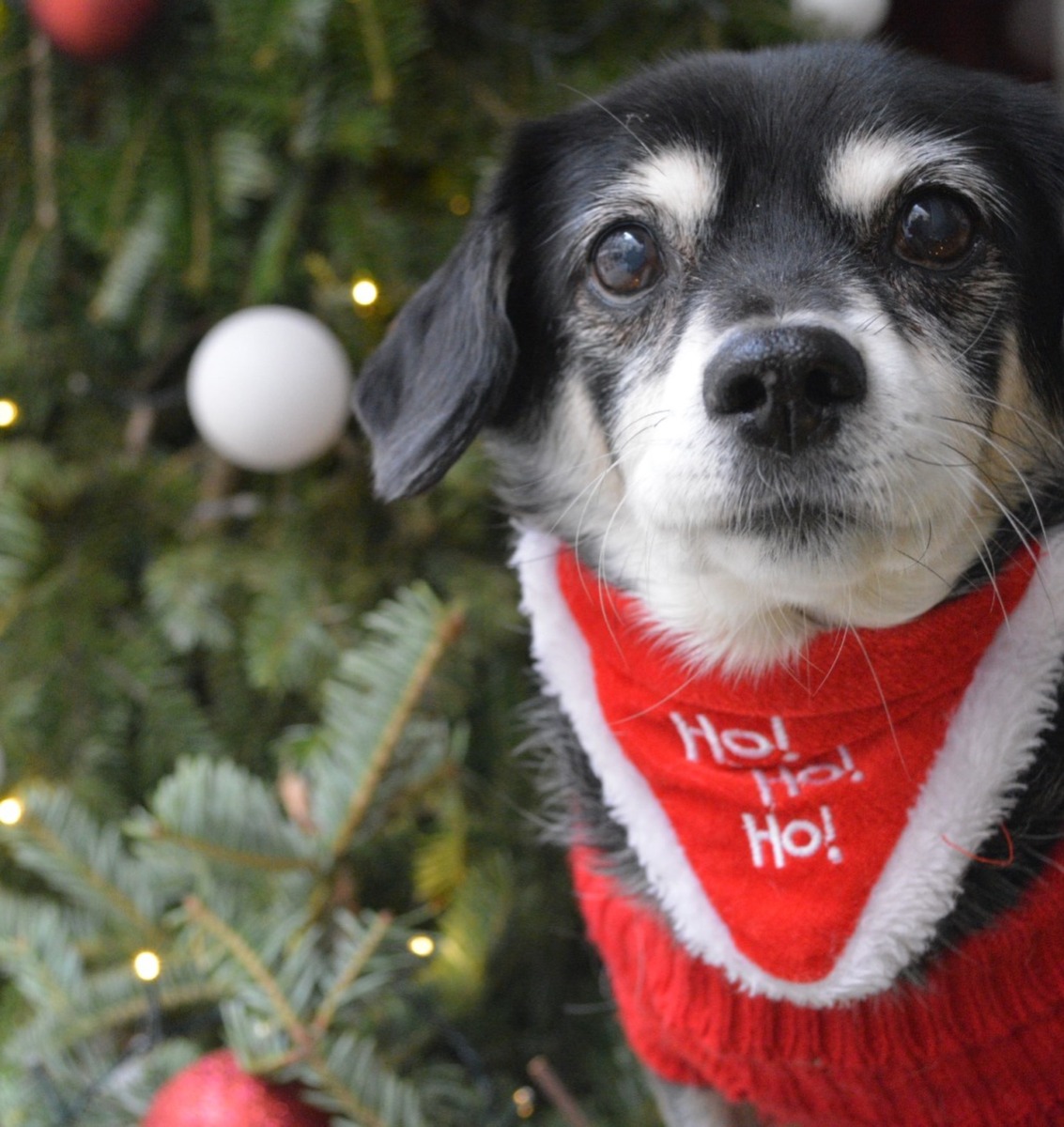 604853584_18434766556106316_615712589735271078_n