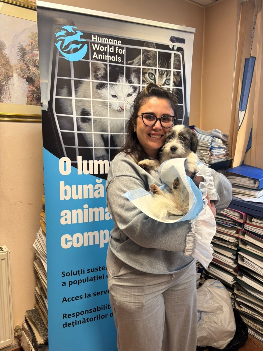 604865583_888449496885010_419240357974770161_n