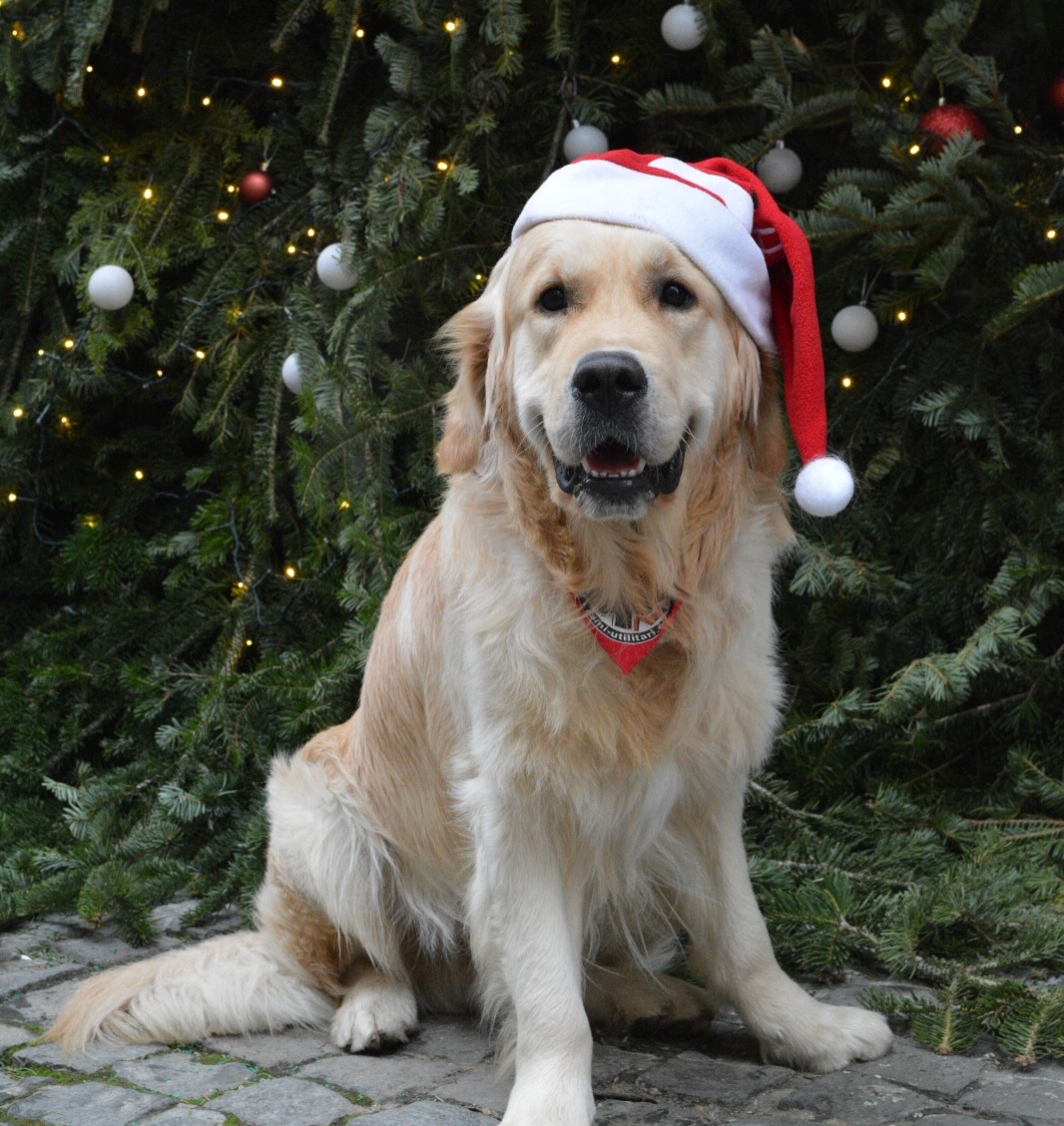 604926262_18434766520106316_1829353362573481042_n