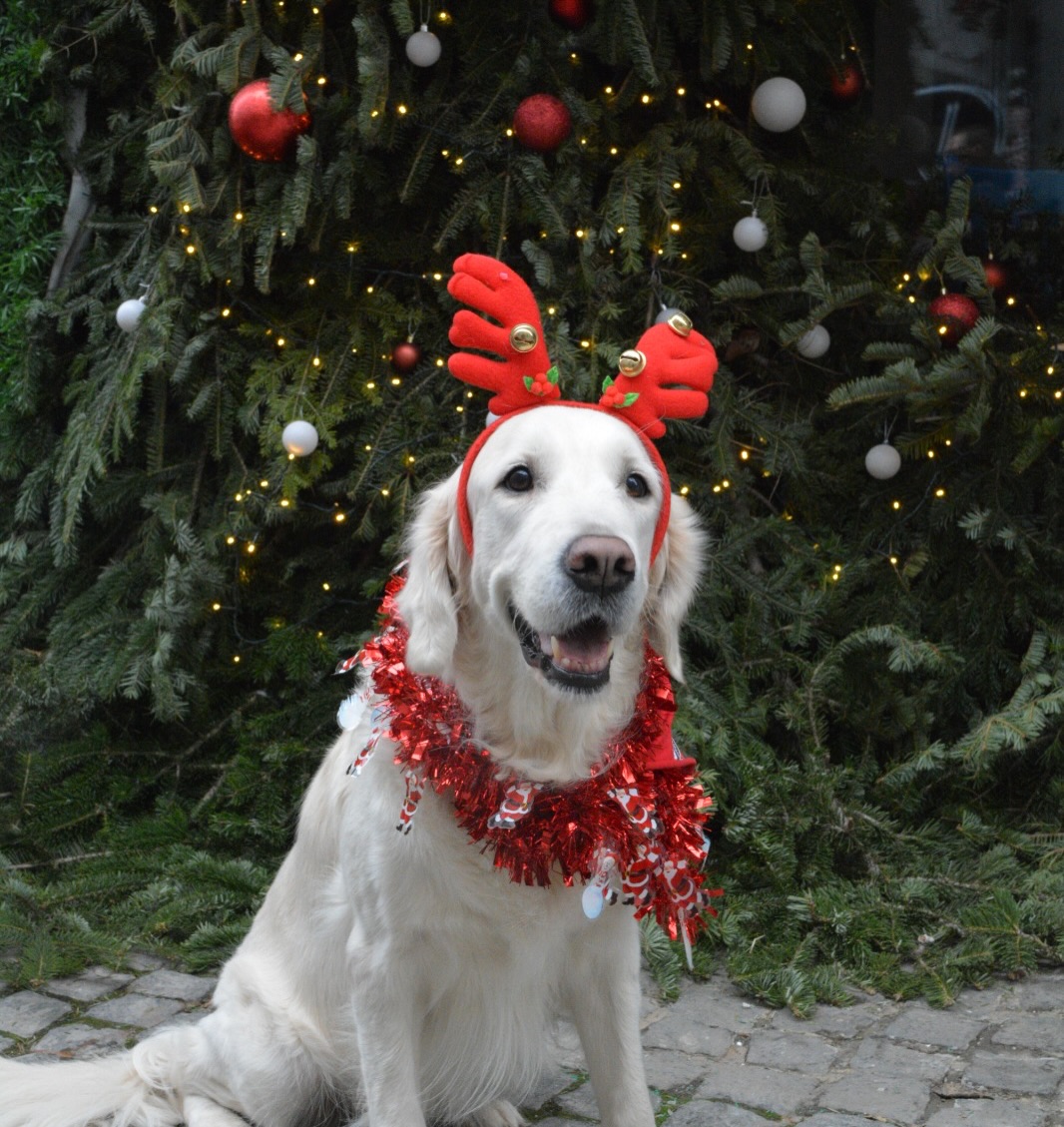 605031365_18434766493106316_1504884542048727027_n