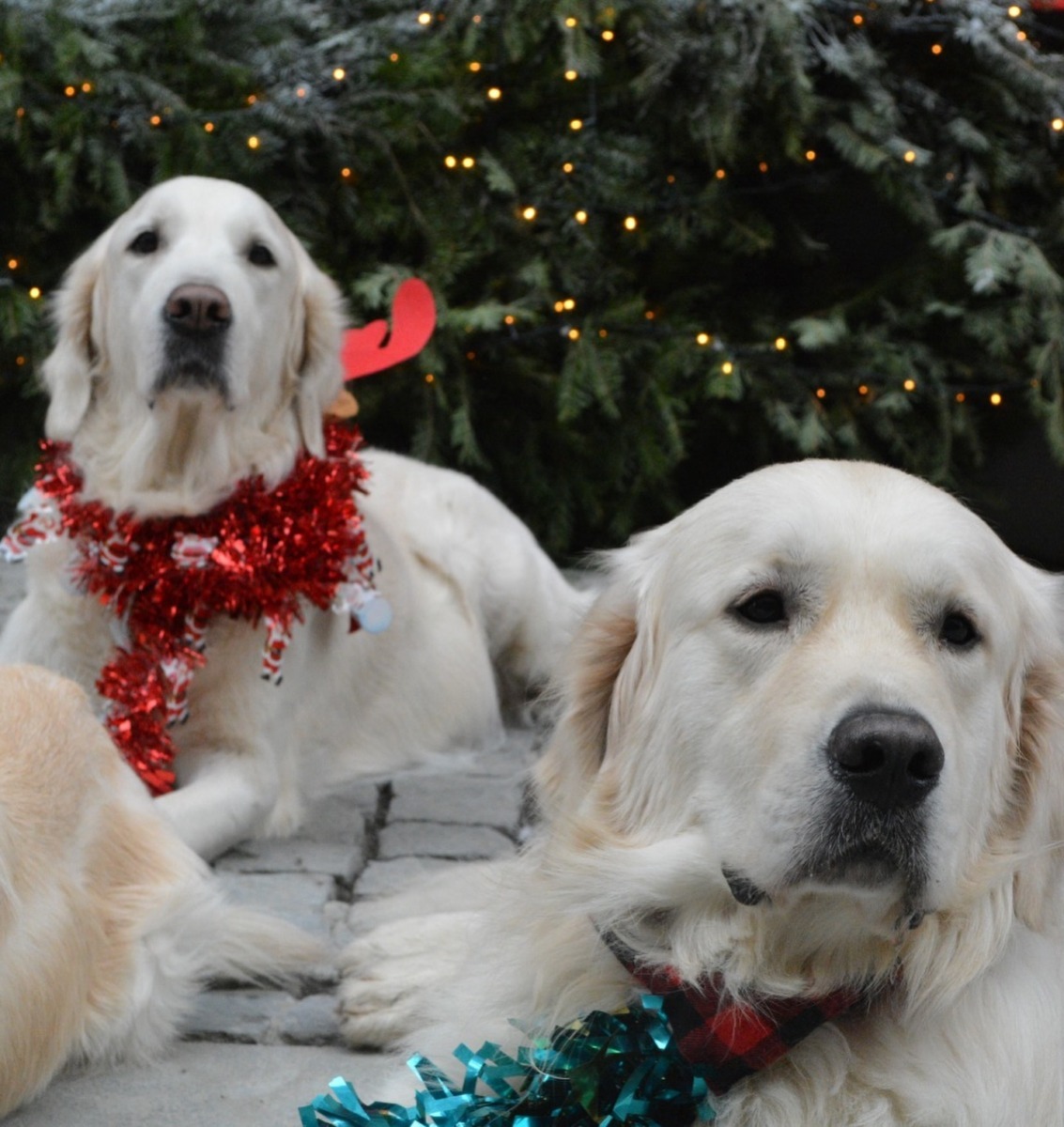 605148375_18434766574106316_7354021423159430936_n