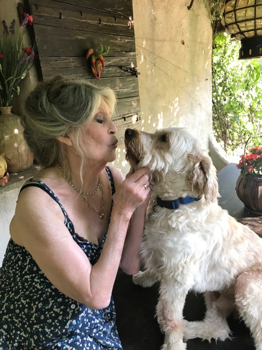 605440342_1300822775408974_7817943267327329329_n