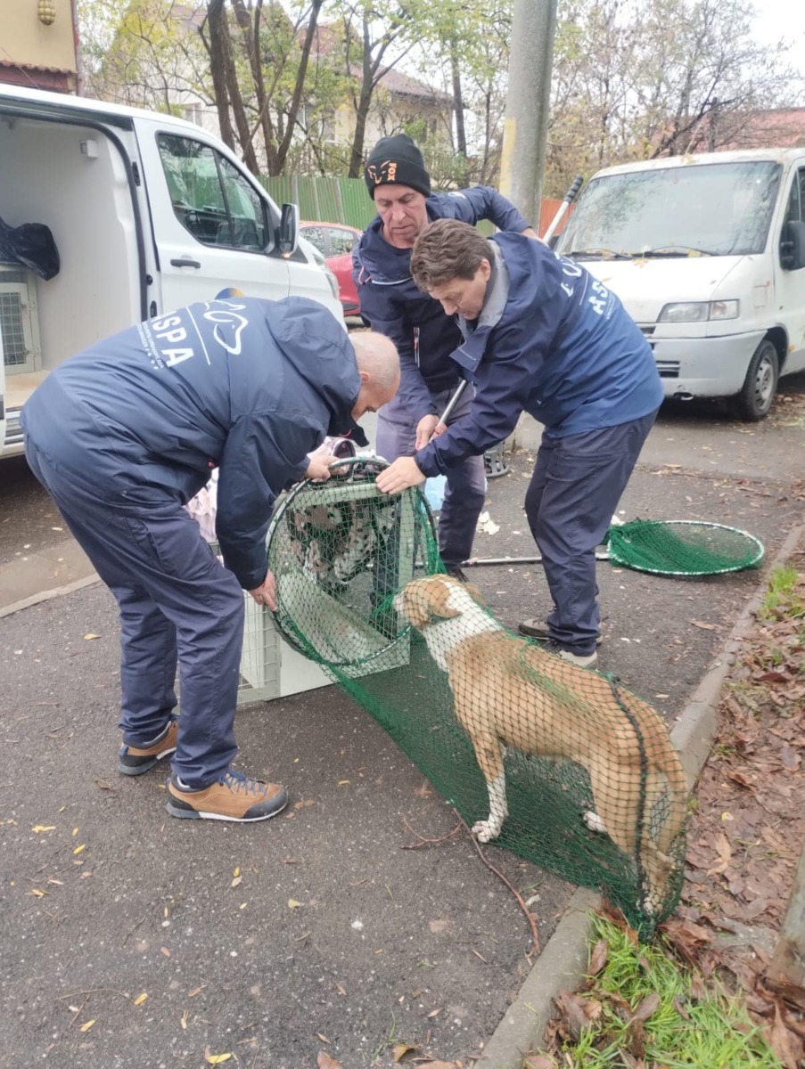 605520521_1213201920964943_3603941997621031821_n