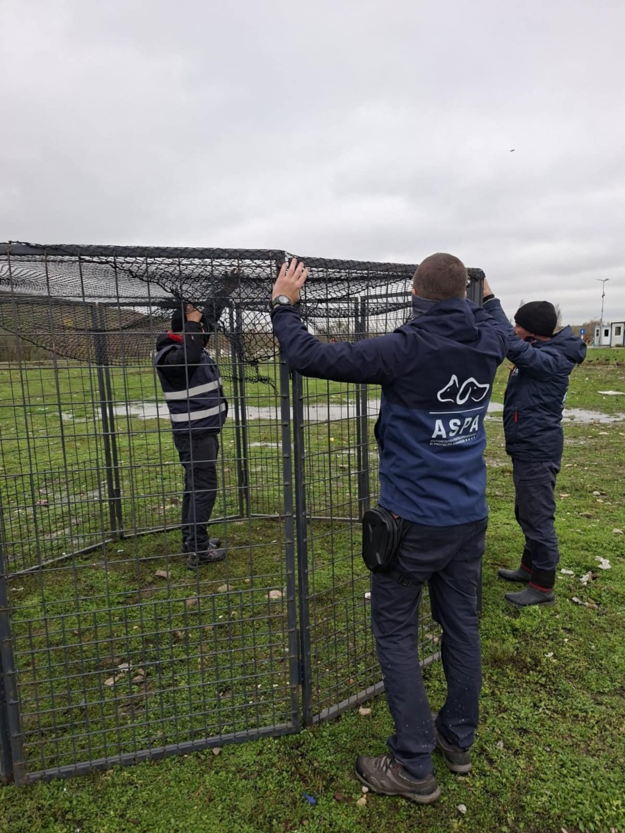 605716221_1213201550964980_1210195568746346712_n