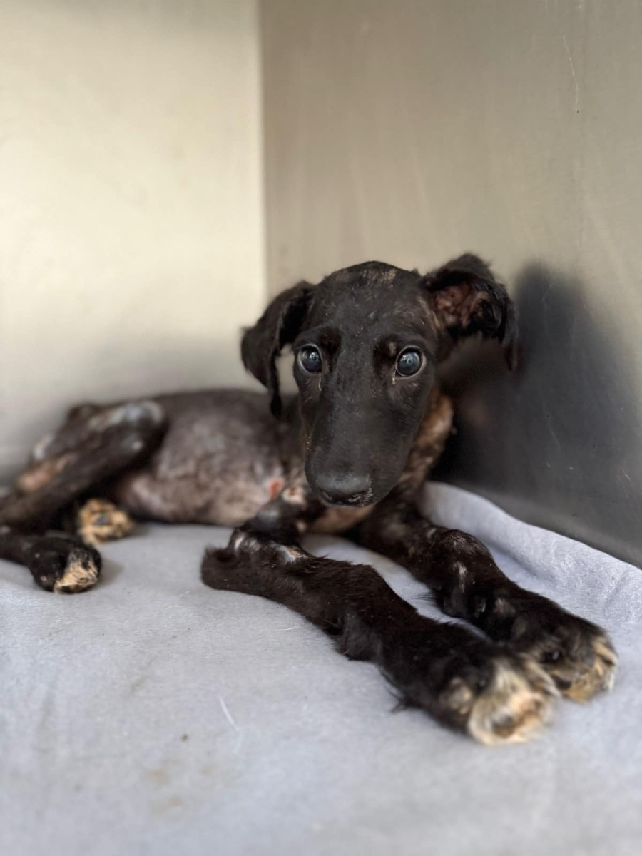 605731922_1213200860965049_2737492789987079968_n